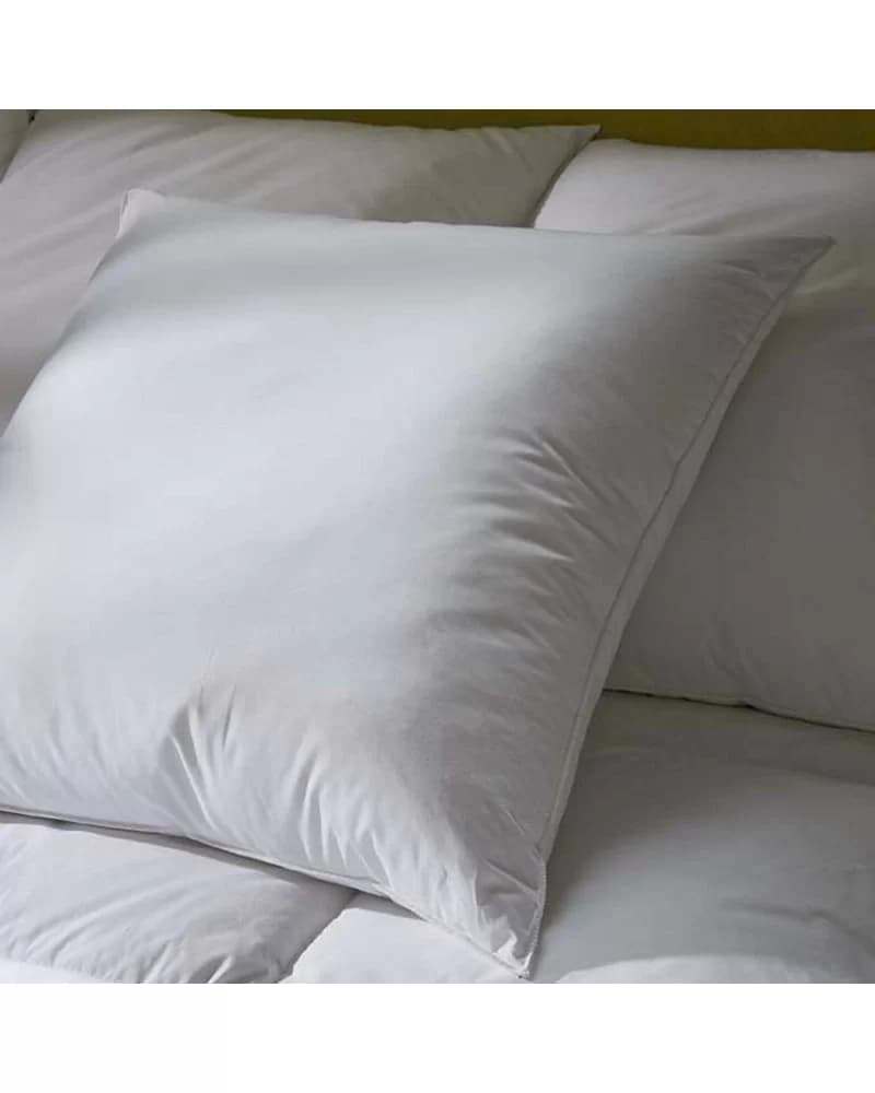 Oreiller Fibre Creuse LUXOTEL 60x60 cm