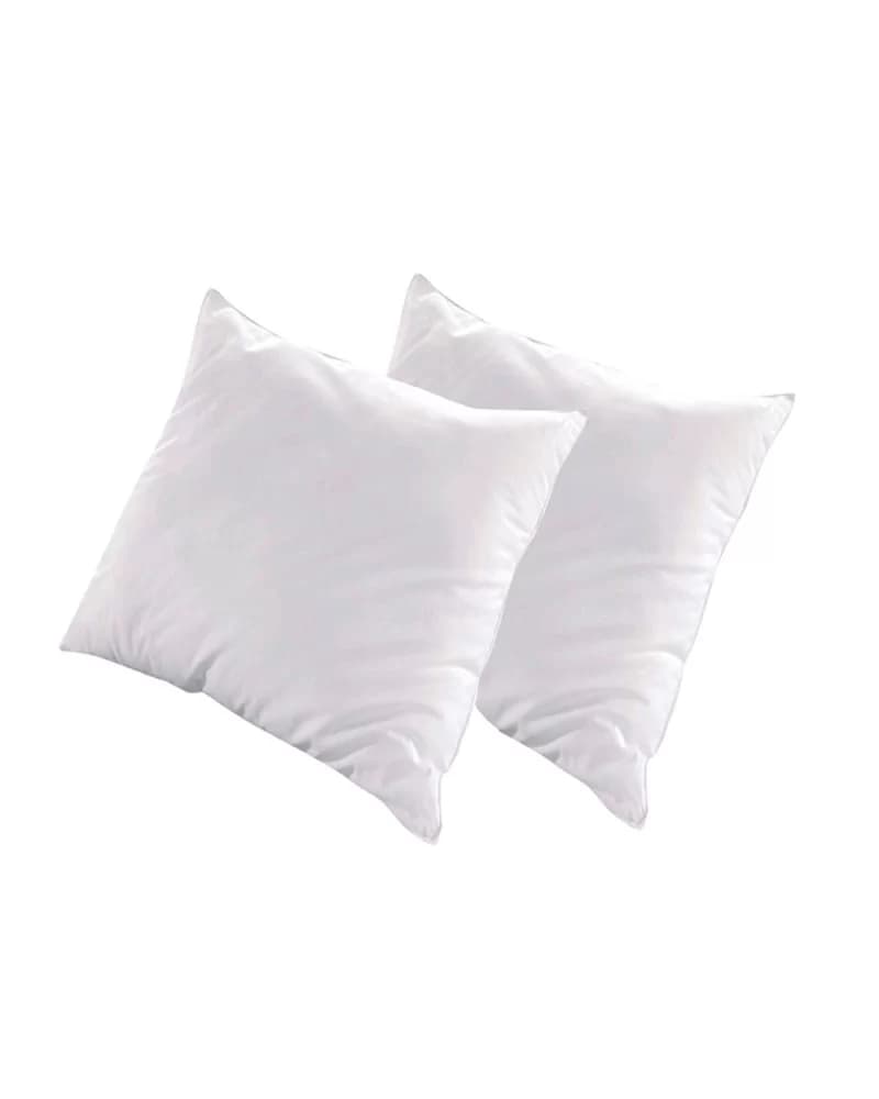 Lot de 2 Oreillers LUXOTEL 60x60 cm