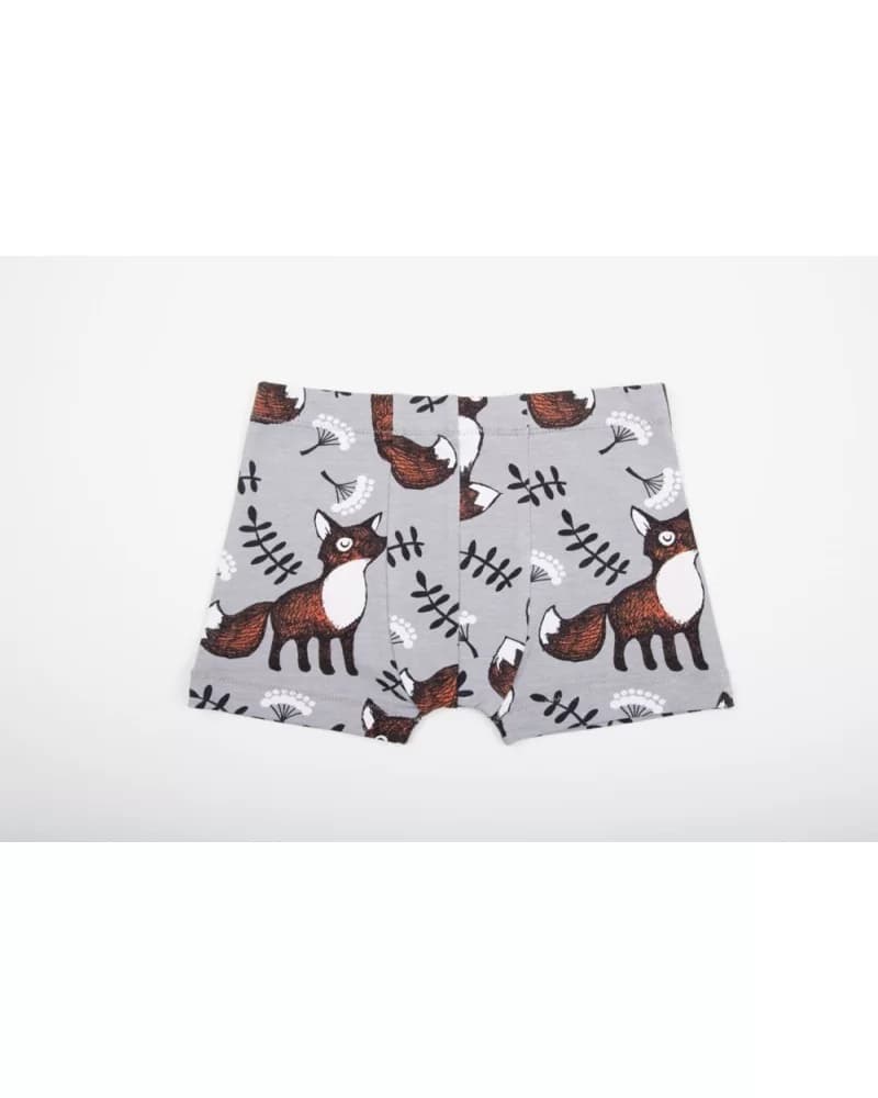 Alexandre - Boxer Garçon Bio