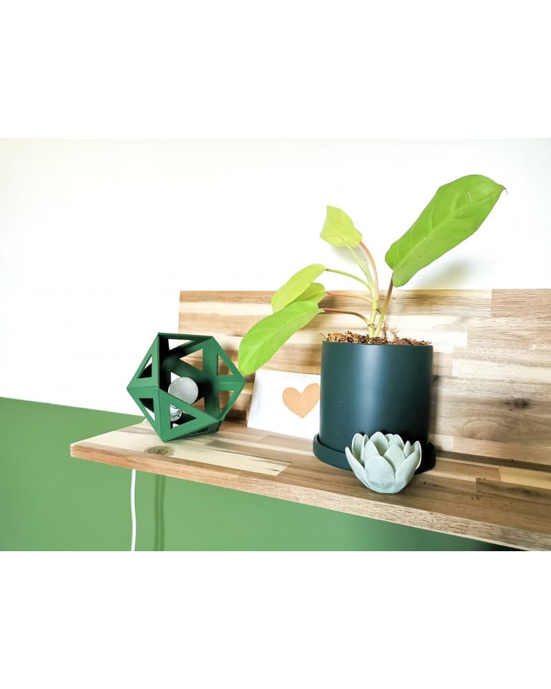 petite lampe origami kaki