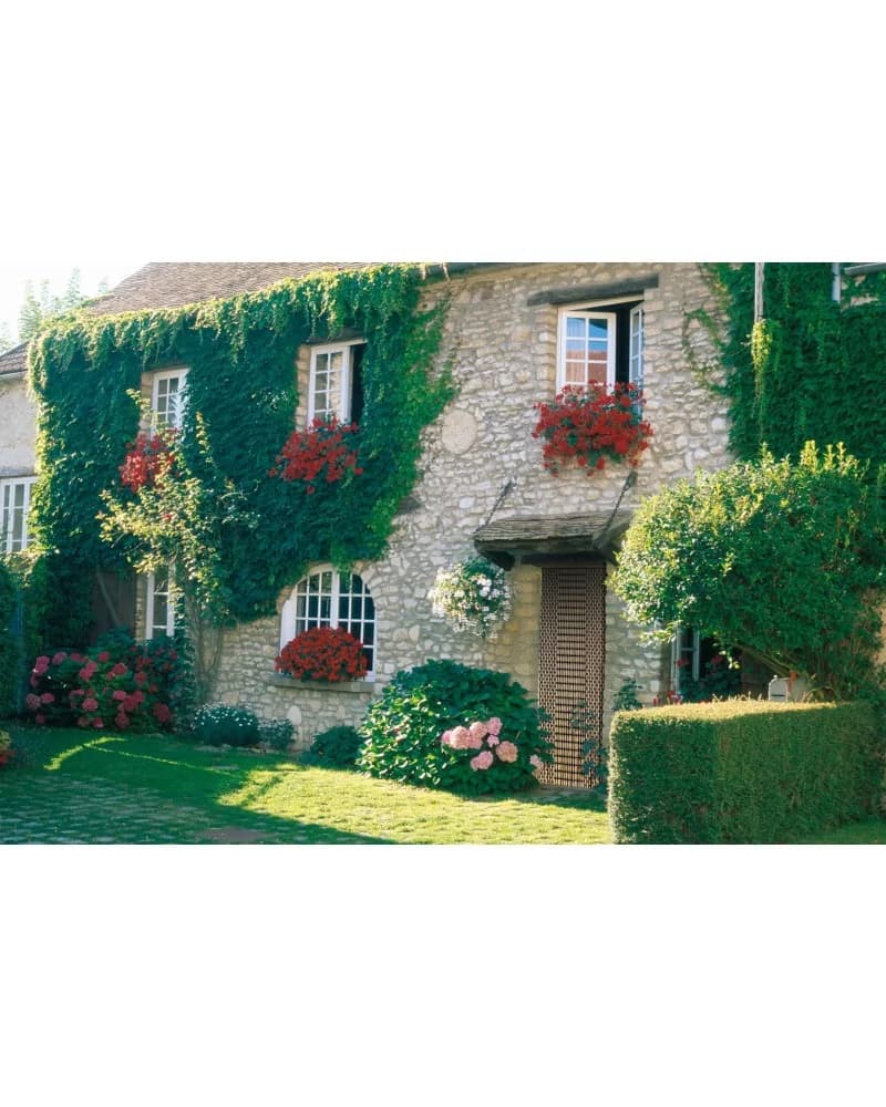 Rideau De Porte Olives De Buis