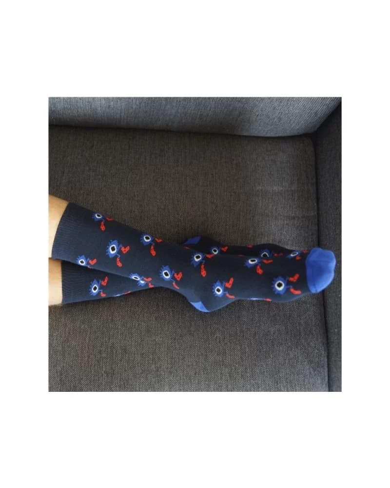 Chaussettes Le Grand Edgar