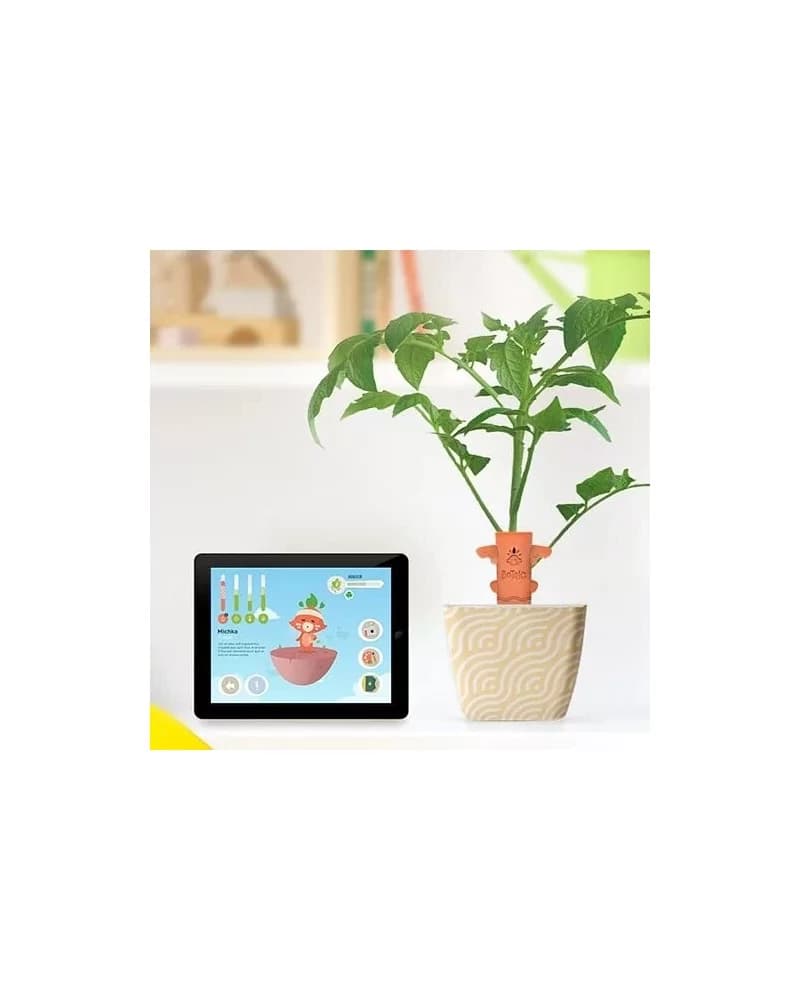 Kit Activité Plante Totem Magique