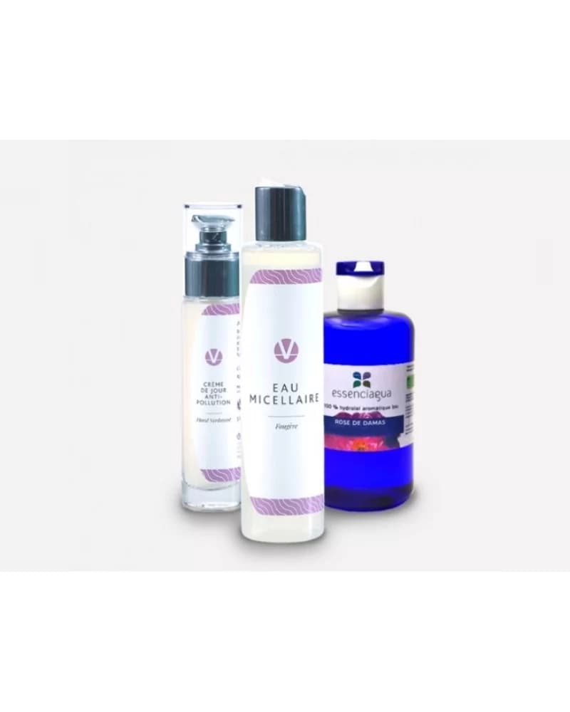 Routine Visage Anti Pollution