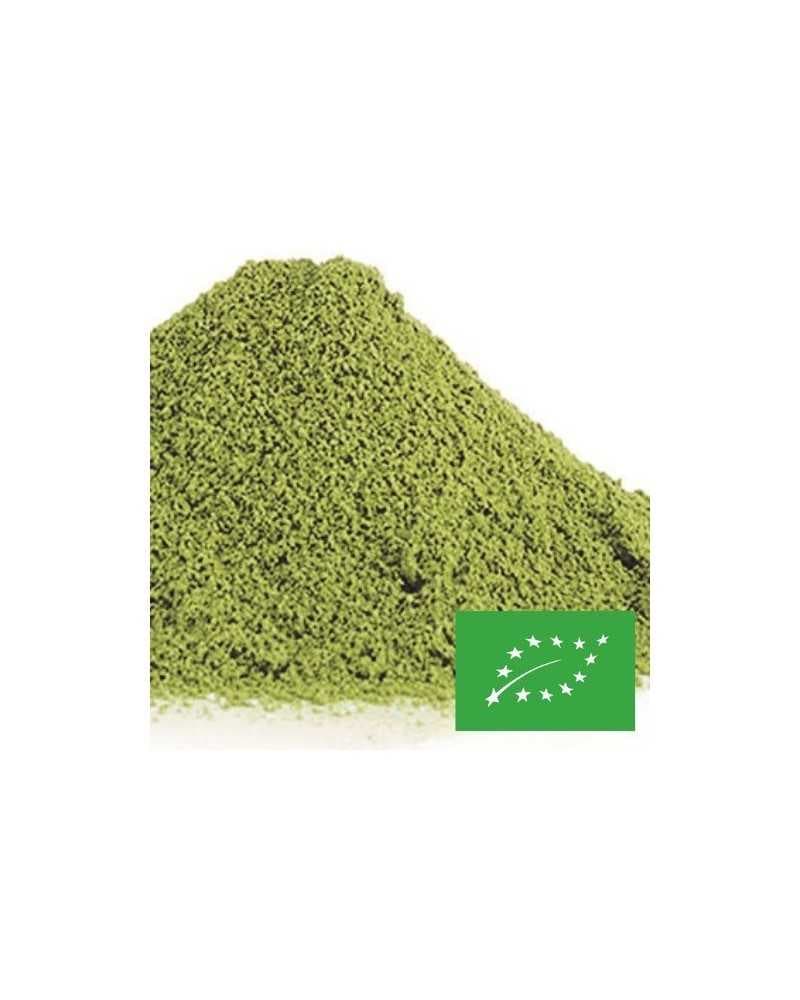 thé en vrac matcha taishan bio boite 100 gr