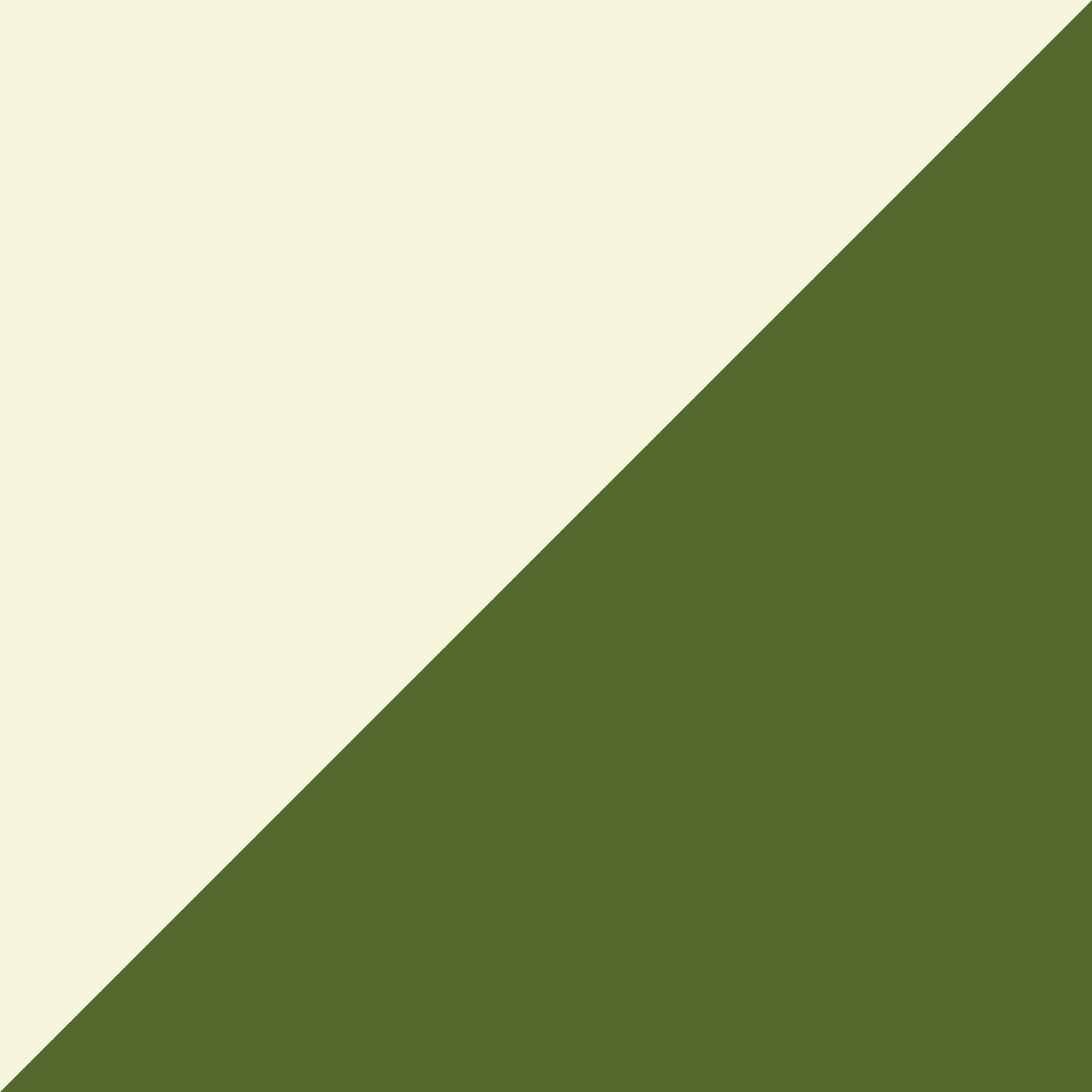 Beige et Kaki